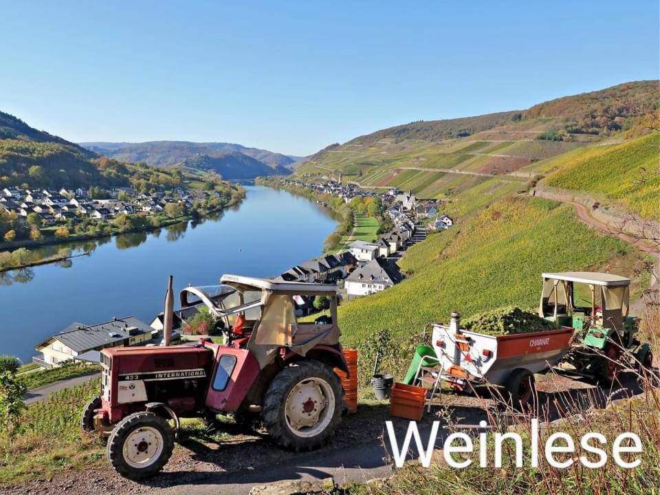 Haus Marientaler Au Gbr Ξενοδοχείο Zell an der Mosel Εξωτερικό φωτογραφία